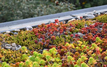the cost of Moor Monkton Moor green roof installation