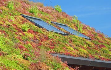 Moor Monkton Moor living roof systems